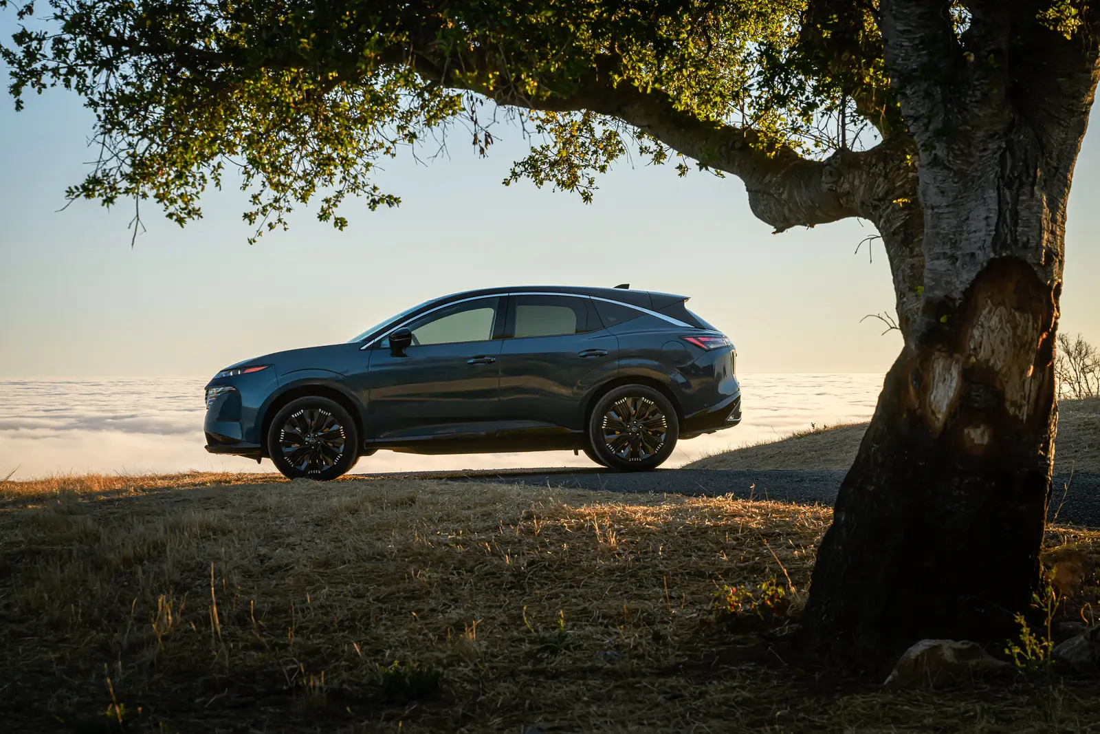 Nissan Murano 2025 PLATINUM Exterior